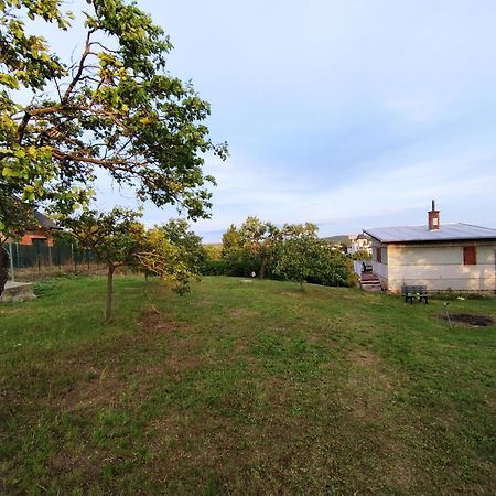 Wine House Znojmo Βίλα Εξωτερικό φωτογραφία